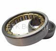 CYLINDRICAL ROLLER BEARING 3