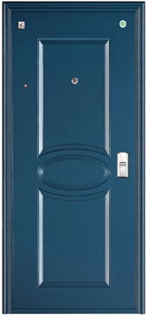 security metal door