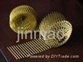 common coil nails 1