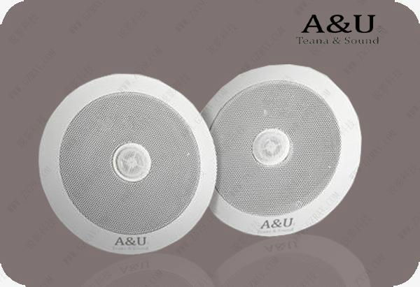 Ceiling Ceiling Speaker 2