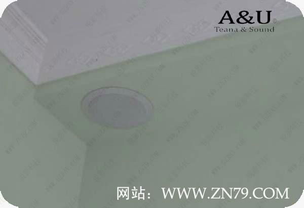 Ceiling Ceiling Speaker 4