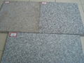 Chinese Granite