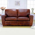 leather sofa