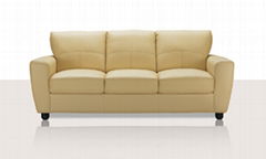 leather sofa