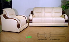 leather sofa