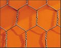 Hexagonal Wire Mesh