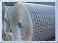 wire netting 1