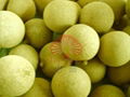 Longan 3