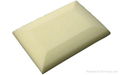 memory pillow 1