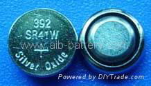 Silver Oxide Button Cell 2