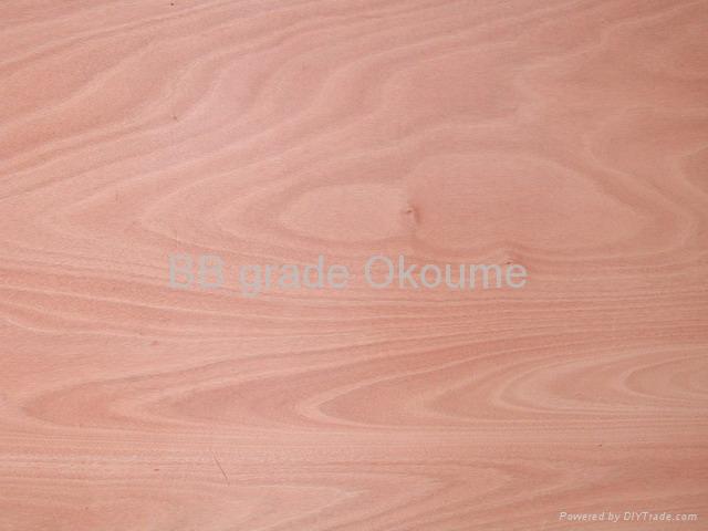 5.2mm Furniture grade Okoume Plywood 3