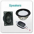 Speaker 1