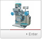 DLL-160 strip Packing Machine