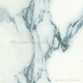 Marble Tiles 4