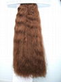 HUMAN HAIR EXTENSION 1