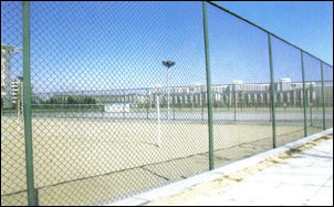 Wire mesh fence