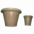 biodegradable flowerpots