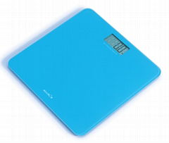 Bathroom scale