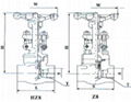 Knife Gate Valve 1