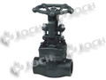 Forged Globe Valve