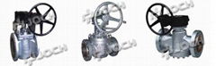 Plug Valve