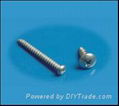 SELF TAPPING SCREWS