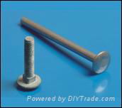  CARRIAGE   BOLTS