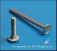  CARRIAGE   BOLTS