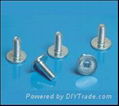 Truss   head  screw