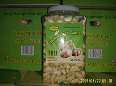 GARLIC PRODUCTS