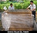 Palm Oil Fiber