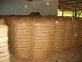 Coconut Fiber 2