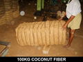 Coconut Fiber 1