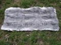 Rabbit Skin plate(gray green) 1