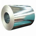 Galvanized steel coil