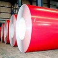 Prepainted steel coil 1