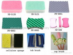 sponge scourer