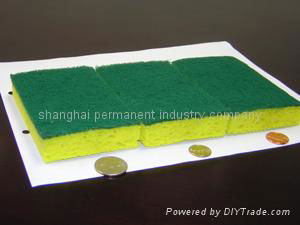 cellulose sponge