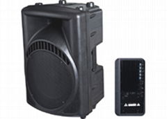 Pro Speaker Cabinet with Plastic 