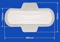 sanitary napkin SL04 1