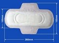 sanitary napkin SM06 1