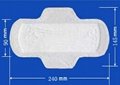 sanitary napkin SL01 1
