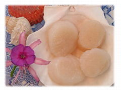 Frozen Sea Scallops Meat