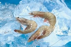 Chinese Vannamei Shrimp - White Vannamei Shrimp -Vannamei Shrimp