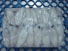 Frozen Baby squid - Baby squid - Loligo Japonica