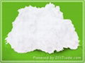 FIBER FILTER PAPER