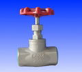  Globe Valve 1