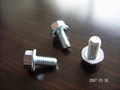 Flange Hex Cap Screw