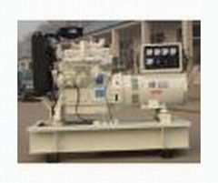 Ricardo Diesel Generator Set