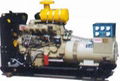 Ricardo Diesel Generator Set 2